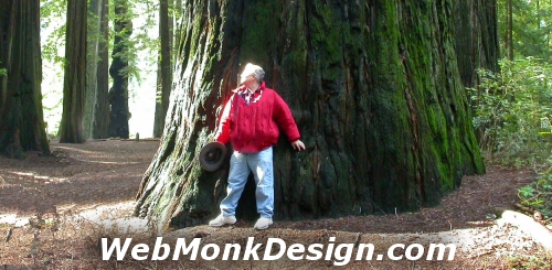 Web Site Design Branding, hosting SEO SEM Serving the World from Pittsboro Chatham County North Carolina NC Research Triangle, Chapel Hill, Durham, Raleigh North Carolina Web Sites Designer Professional SEO Search Engine Optimization Marketing since 1994 Internet Marketing Submissions Promotions Web Hosting graphic design professional photography dedicated server gems stones lapidary jewelry metaphysical new age alternative healing related business